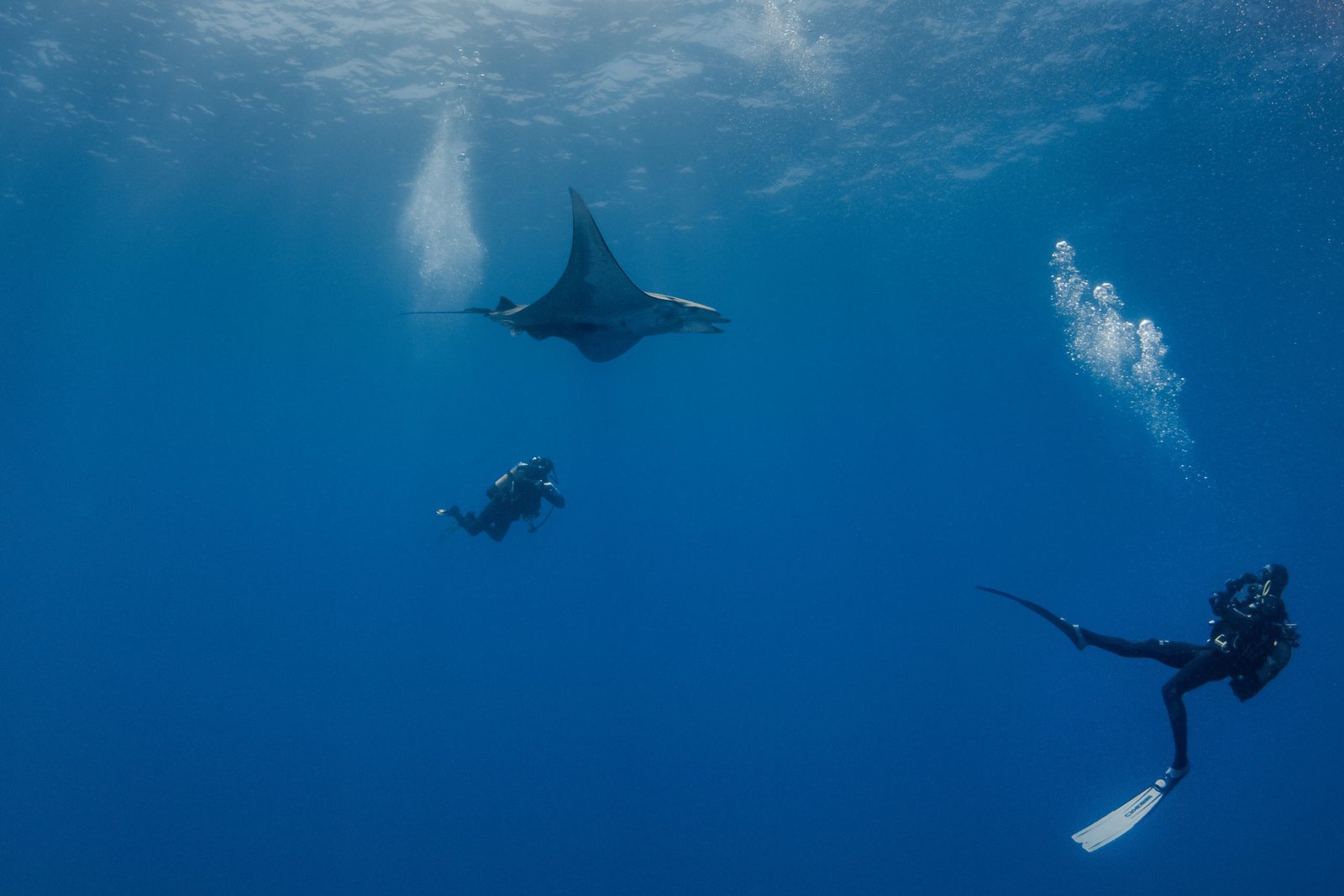 20 Years of the Original Dive Center of Coiba, 2003 – 2023